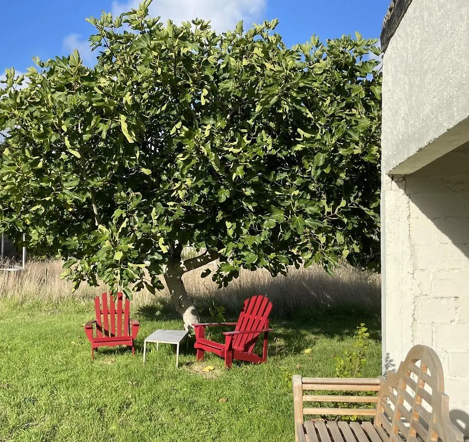Pensjonat La Part Des Anges 29 - Maison D'Hotes Et Table Epicurienne Penmarcʼh